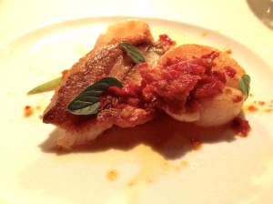 Fish and Scallops with tomato paste